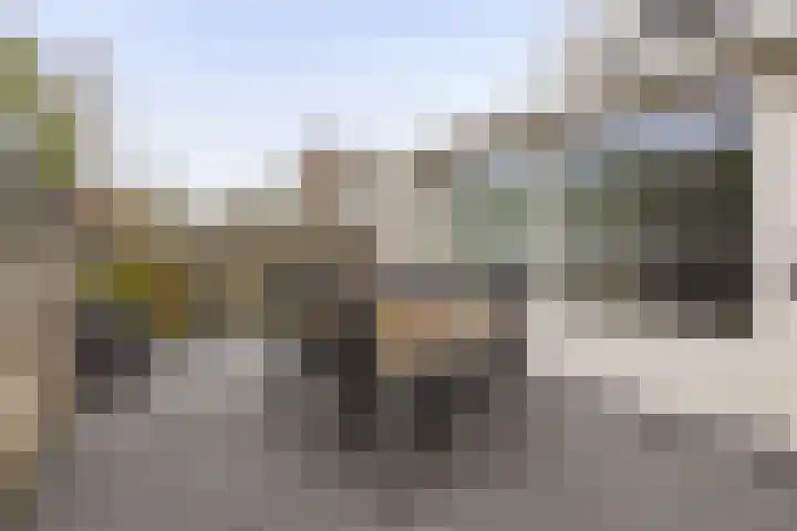 Anijsveld 39 Veghel thumbnail 27