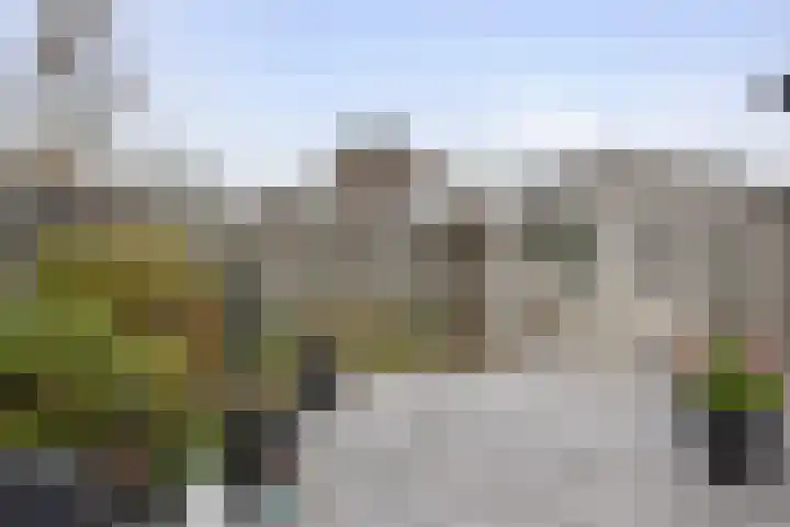Anijsveld 39 Veghel thumbnail 28