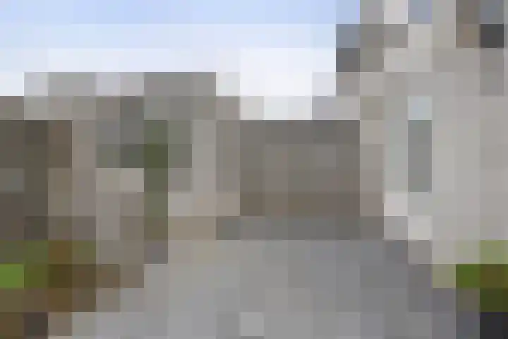 Anijsveld 39 Veghel thumbnail 29
