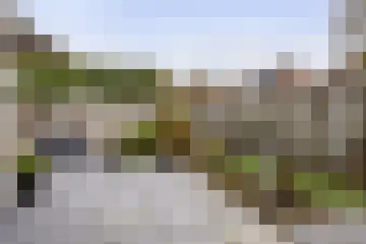 Anijsveld 39 Veghel thumbnail 30