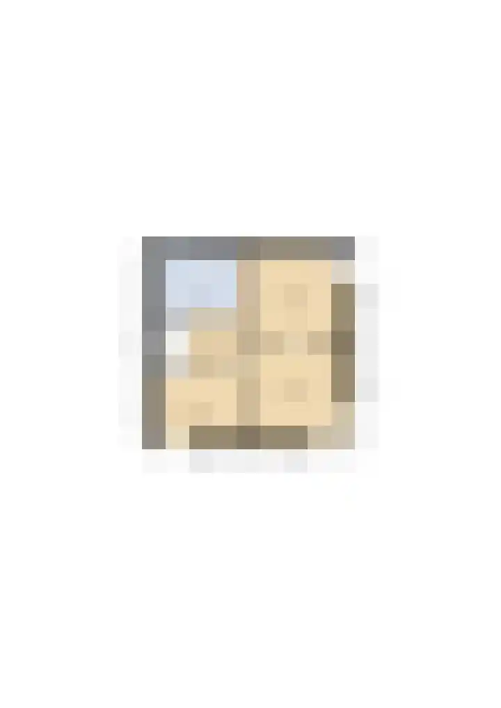 Anijsveld 39 Veghel thumbnail 34