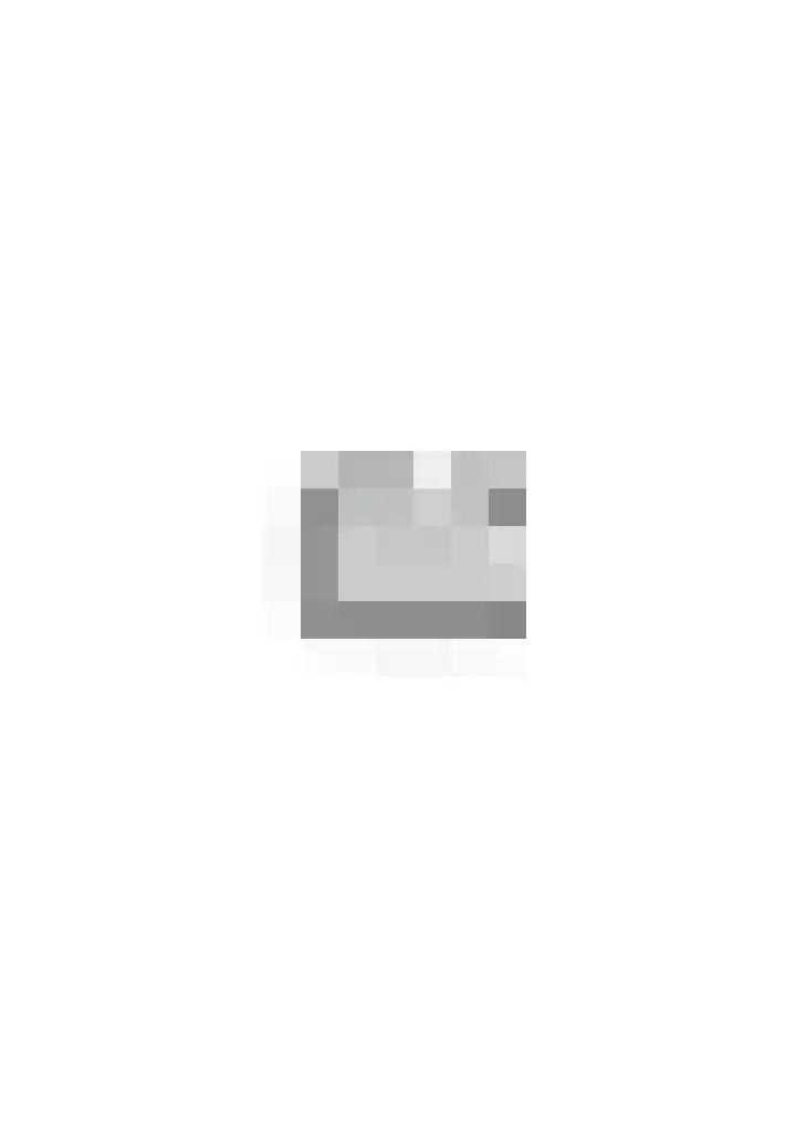 Anijsveld 39 Veghel thumbnail 36