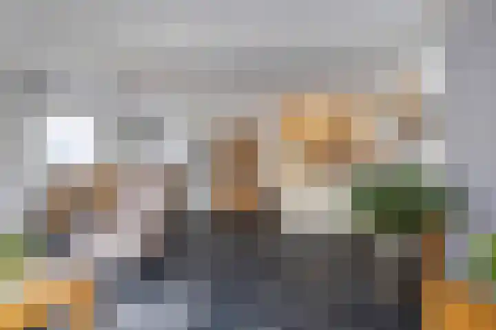 Anijsveld 39 Veghel thumbnail 8