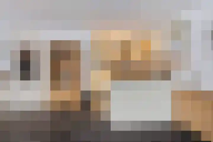 Anijsveld 39 Veghel thumbnail 9