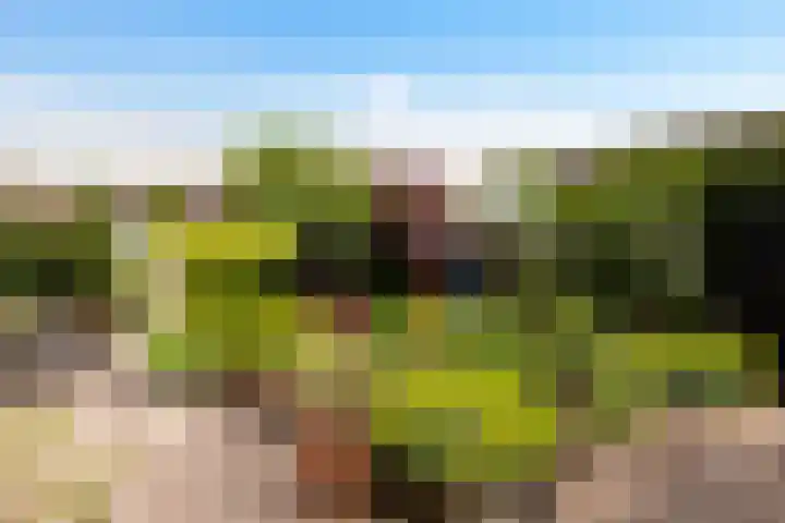 Anijsveld 4 Doetinchem thumbnail 30