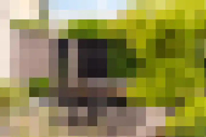 Anijsveld 4 Doetinchem thumbnail 31