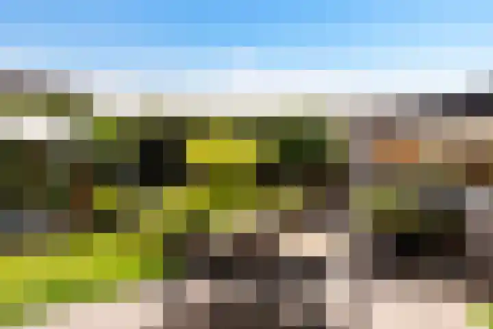 Anijsveld 4 Doetinchem thumbnail 32