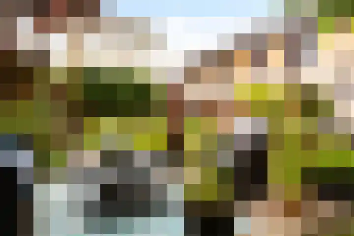 Anijsveld 4 Doetinchem thumbnail 34