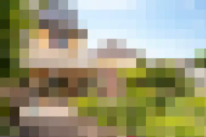 Anijsveld 4 Doetinchem thumbnail 36