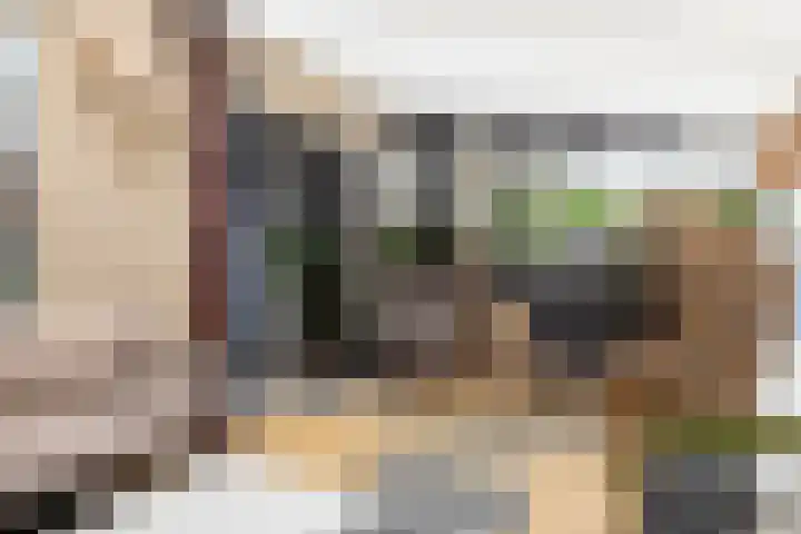 Anijsveld 4 Doetinchem thumbnail 38