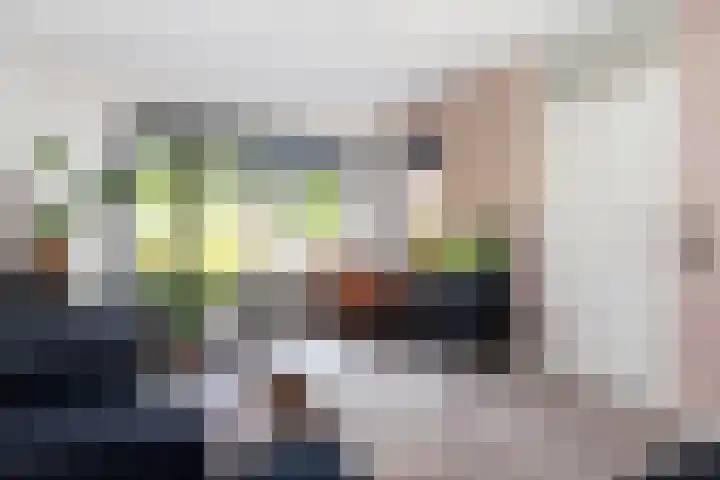 Anijsveld 4 Doetinchem thumbnail 4