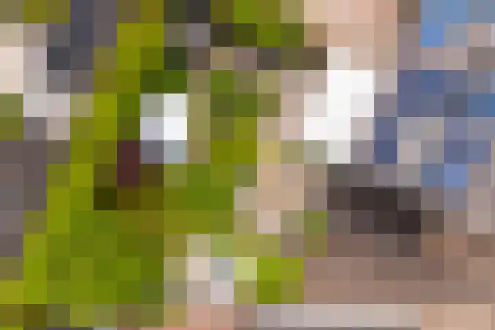 Anijsveld 4 Doetinchem thumbnail 43