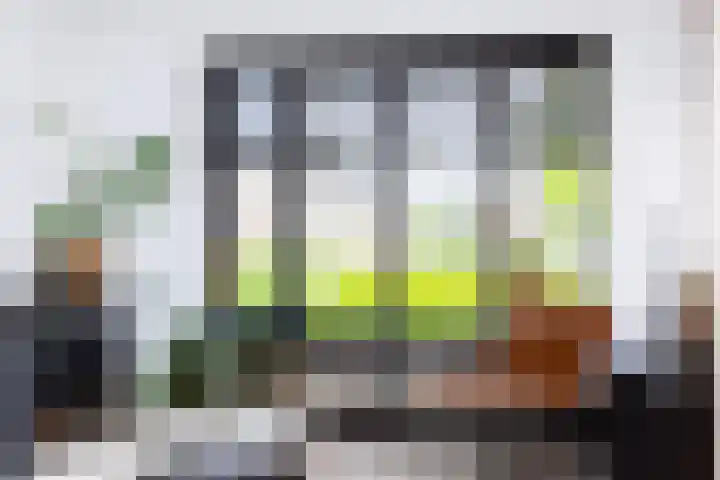 Anijsveld 4 Doetinchem thumbnail 5