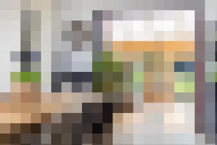 Anijsveld 4 Doetinchem thumbnail 8