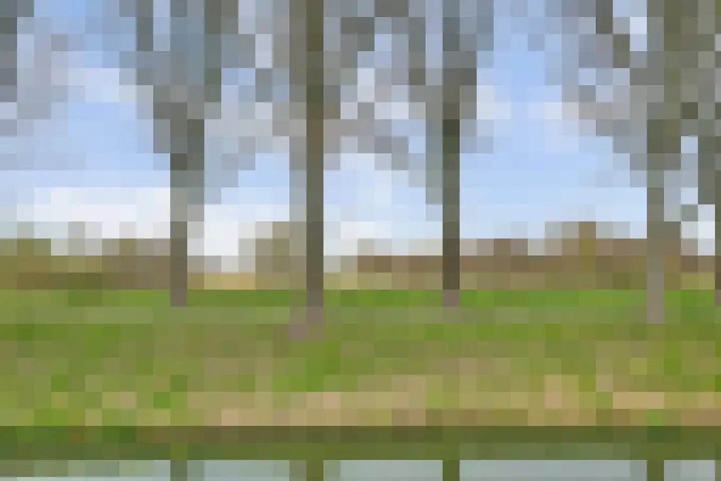 Anijsveld 6 Schiedam thumbnail 34
