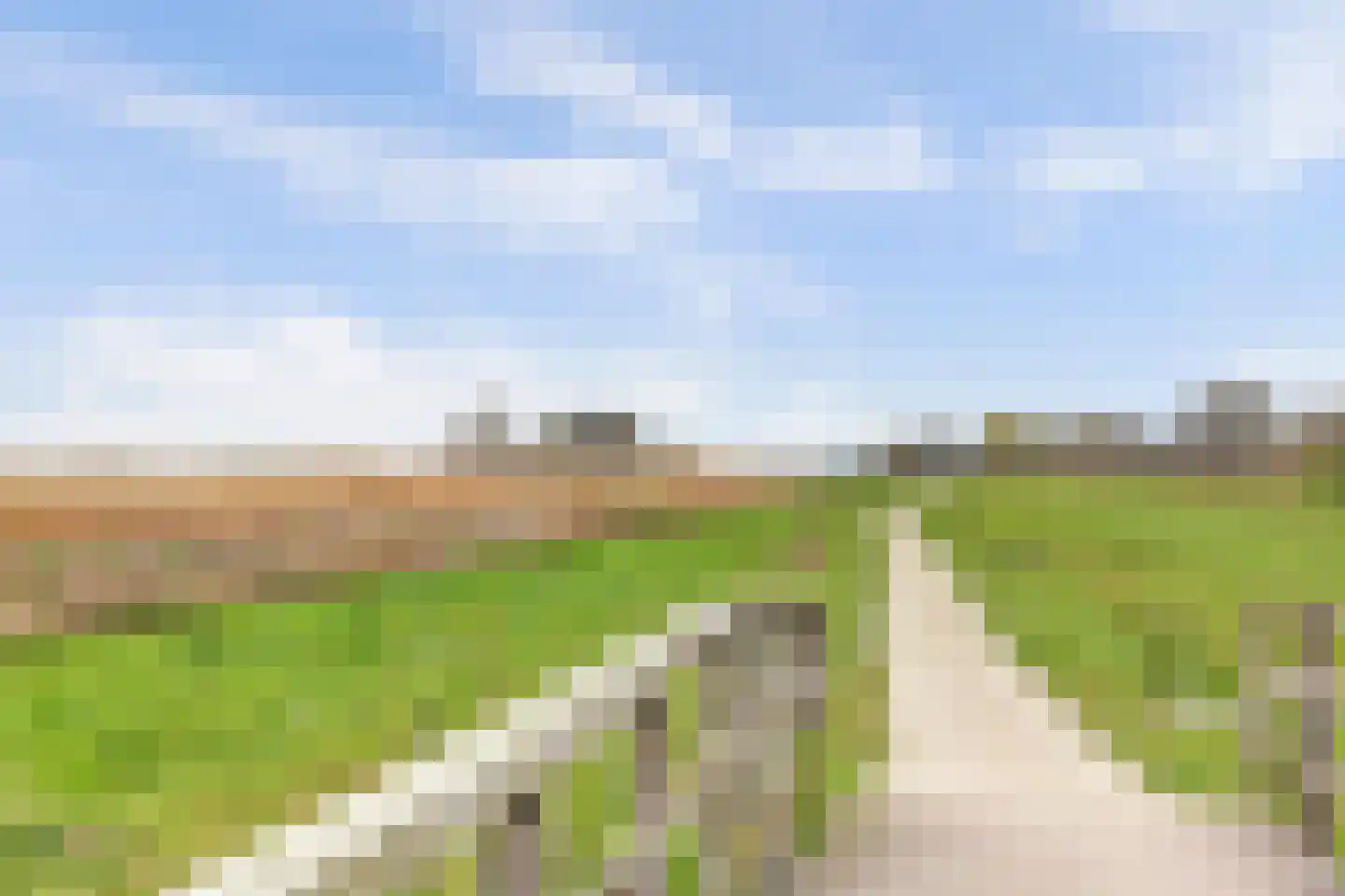 Anijsveld 6 Schiedam thumbnail 36