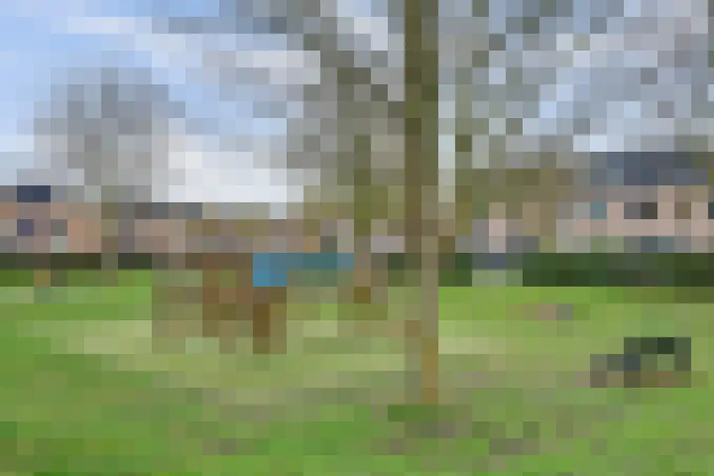 Anijsveld 6 Schiedam thumbnail 38