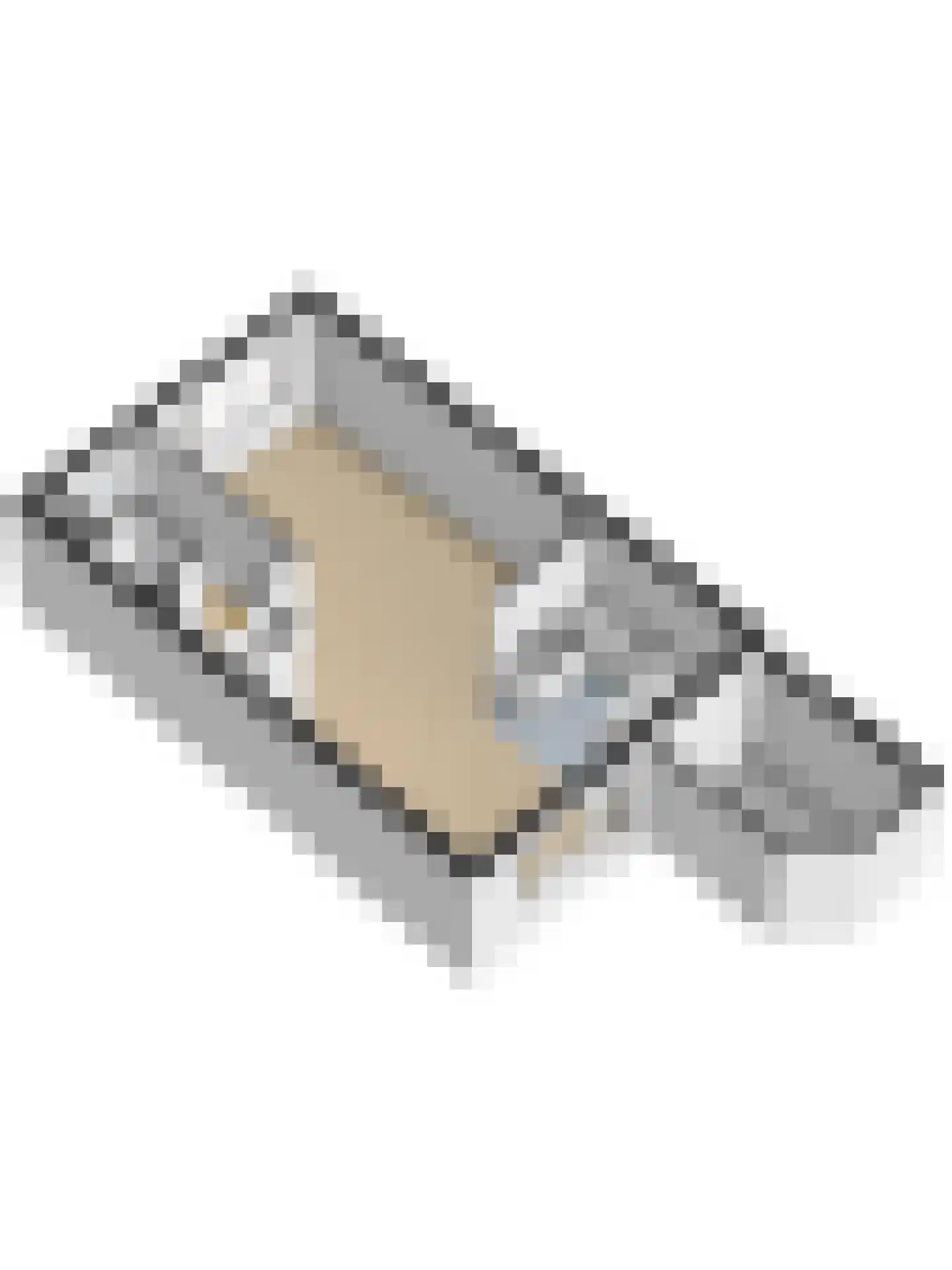 Anijsveld 6 Schiedam thumbnail 47