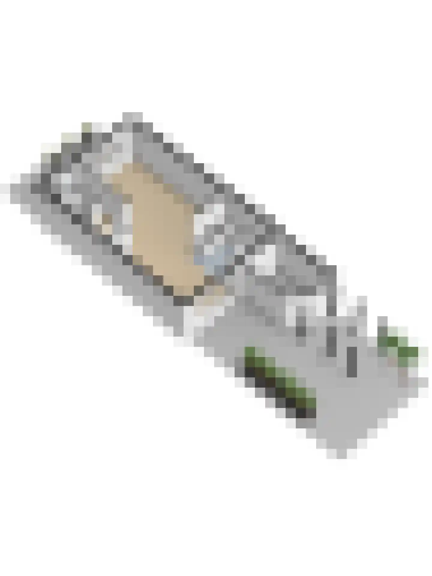 Anijsveld 6 Schiedam thumbnail 50