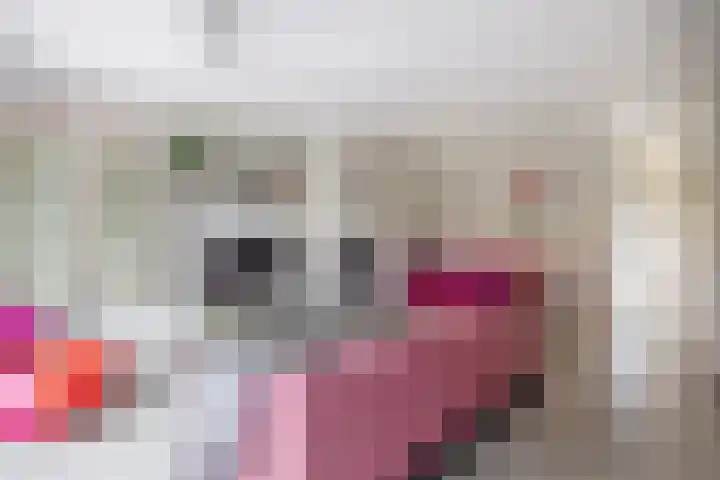 Anjelier 1 Krimpen aan den IJssel thumbnail 14