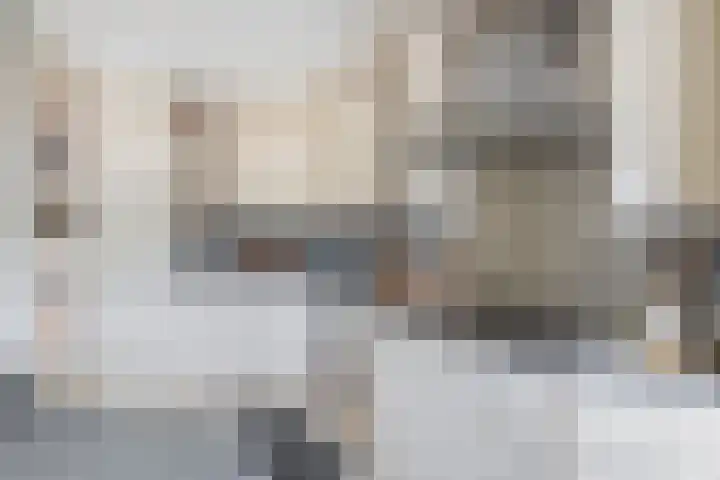 Anjelier 1 Krimpen aan den IJssel thumbnail 19