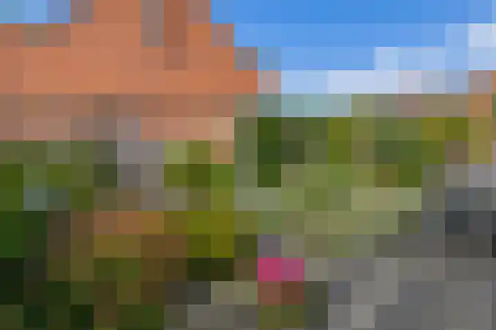 Anjelier 1 Krimpen aan den IJssel thumbnail 22