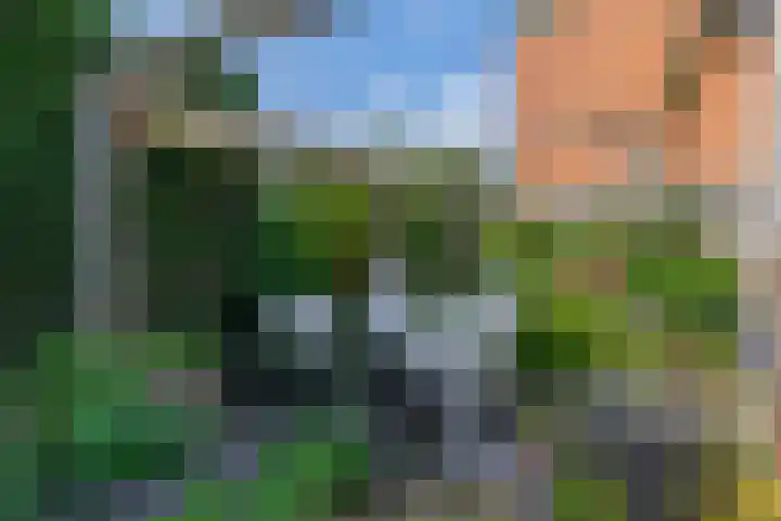 Anjelier 1 Krimpen aan den IJssel thumbnail 23