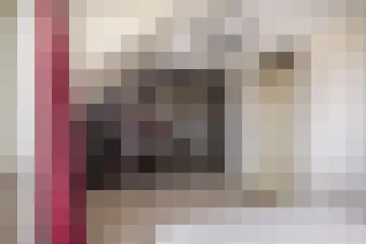 Anjelier 1 Krimpen aan den IJssel thumbnail 31