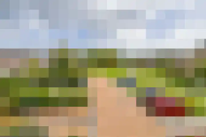 Anjelier 1 Krimpen aan den IJssel thumbnail 32