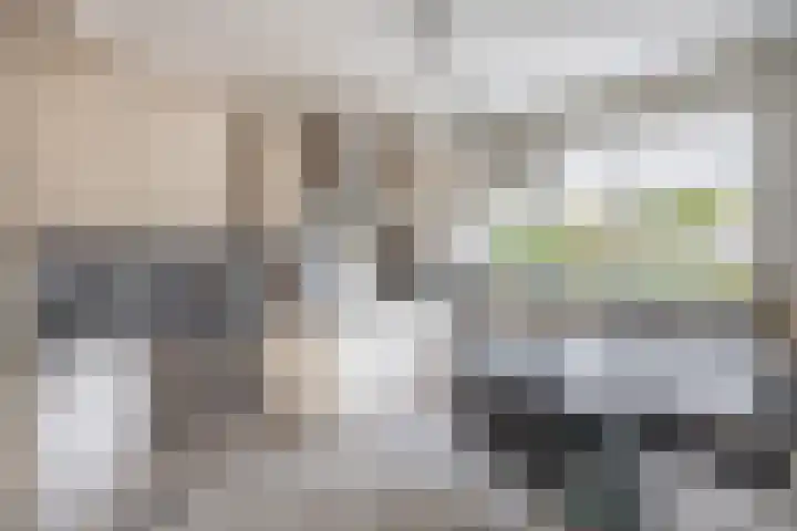 Anjelier 1 Krimpen aan den IJssel thumbnail 4