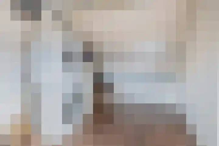Anjelier 1 Krimpen aan den IJssel thumbnail 40