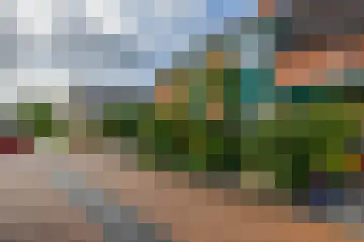 Anjelier 1 Krimpen aan den IJssel thumbnail 42