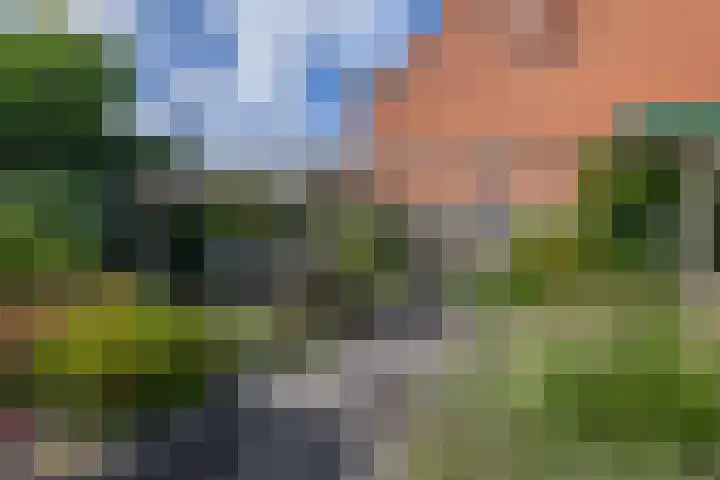 Anjelier 1 Krimpen aan den IJssel thumbnail 5