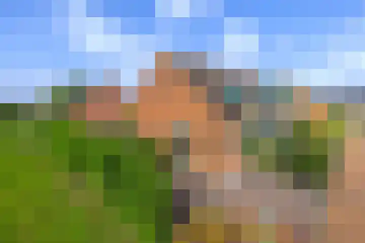 Anjelier 1 Krimpen aan den IJssel thumbnail 6