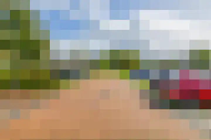 Anjelier 1 Krimpen aan den IJssel thumbnail 7