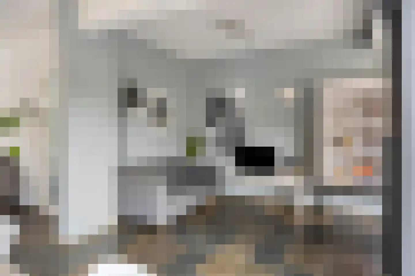 Anjelier 11 Borne thumbnail 14
