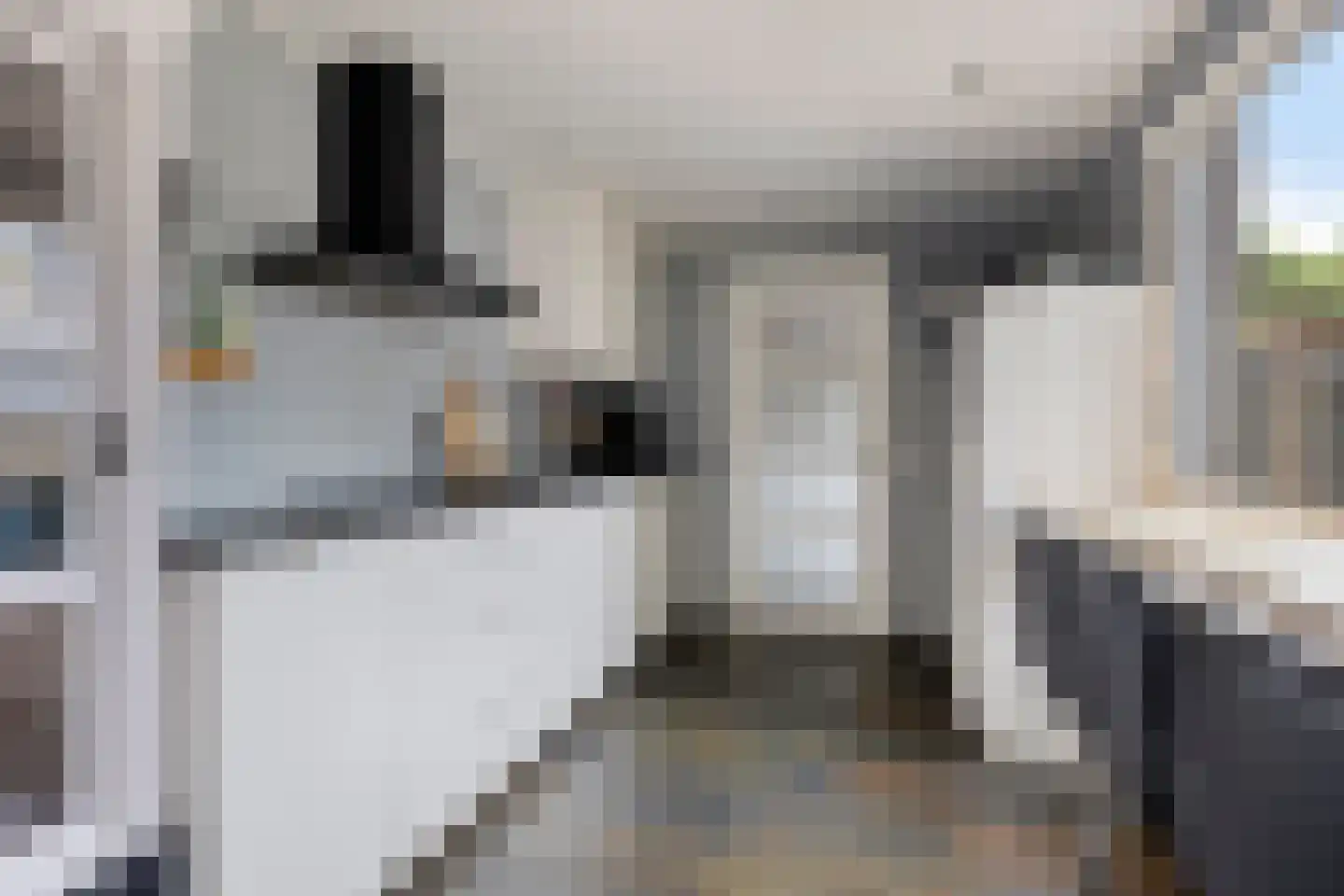 Anjelier 11 Borne thumbnail 15