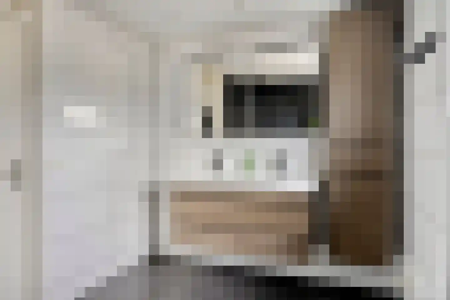 Anjelier 11 Borne thumbnail 20