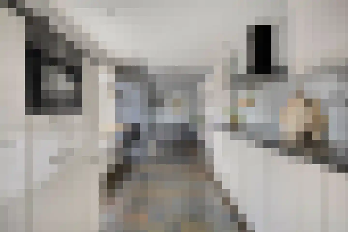 Anjelier 11 Borne thumbnail 4