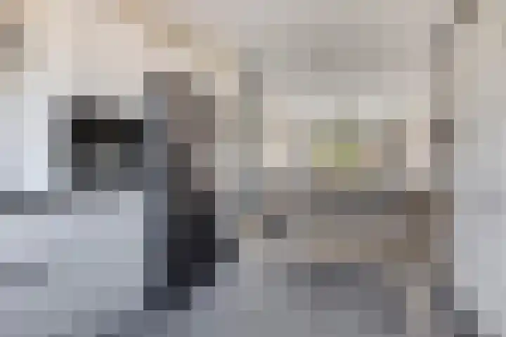 Anjelier 11 Krimpen aan den IJssel thumbnail 10