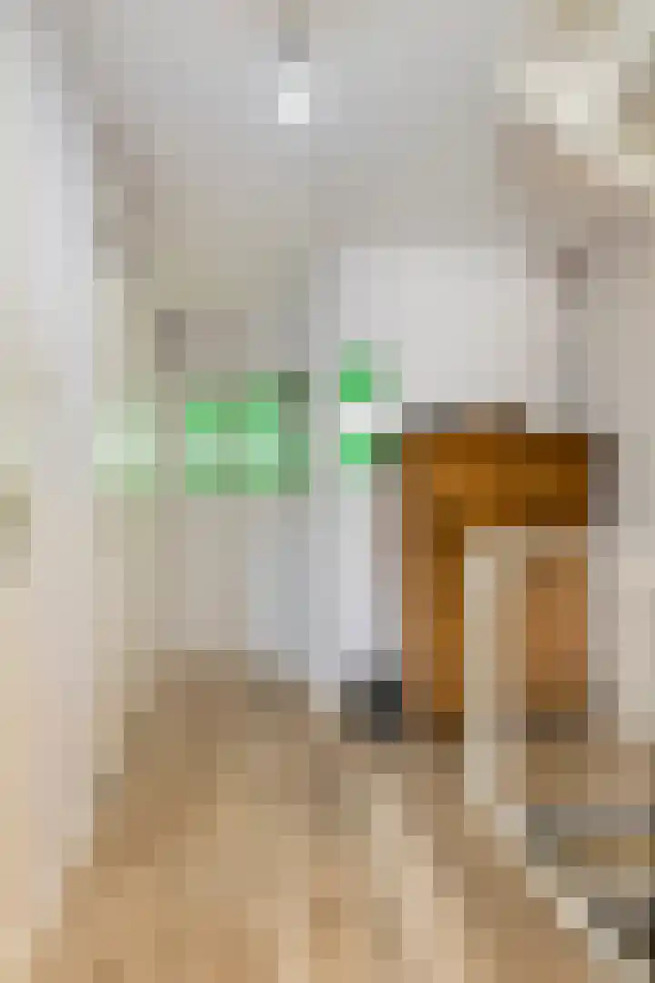 Anjelier 11 Krimpen aan den IJssel thumbnail 14
