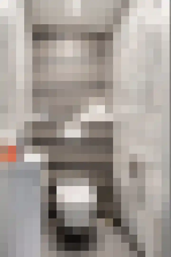 Anjelier 11 Krimpen aan den IJssel thumbnail 15