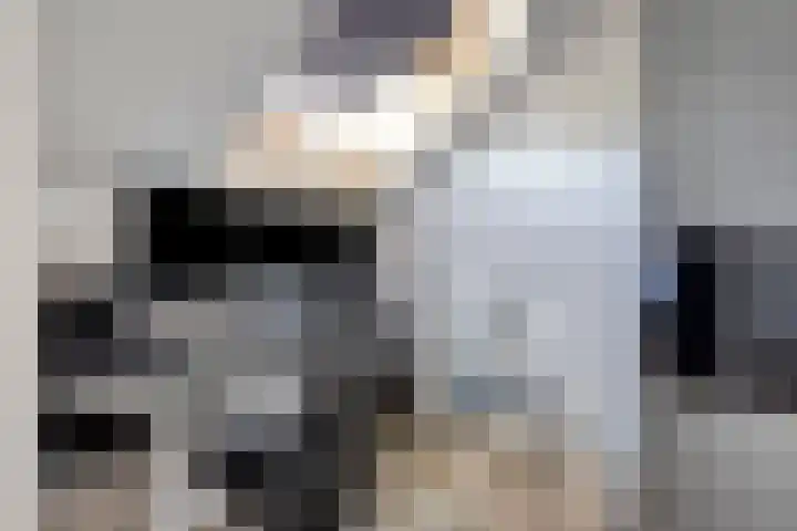 Anjelier 11 Krimpen aan den IJssel thumbnail 18