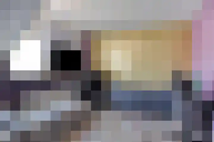 Anjelier 11 Krimpen aan den IJssel thumbnail 19