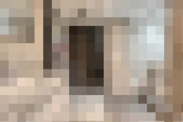 Anjelier 11 Krimpen aan den IJssel thumbnail 21