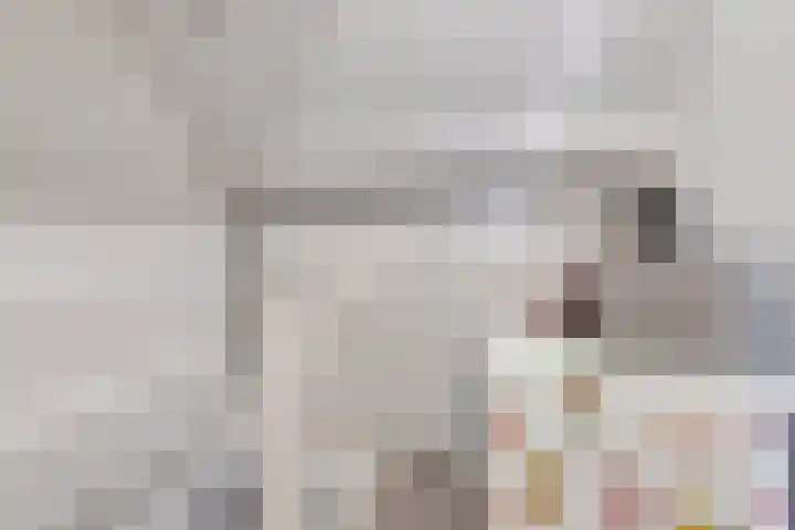 Anjelier 11 Krimpen aan den IJssel thumbnail 24