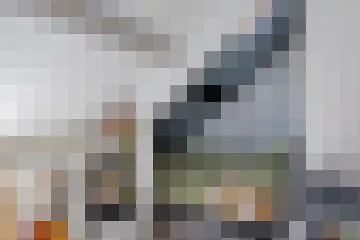 Anjelier 11 Krimpen aan den IJssel thumbnail 27
