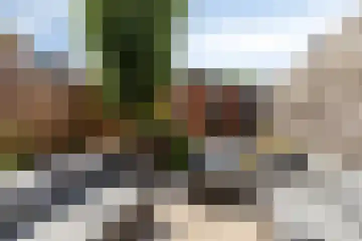Anjelier 11 Krimpen aan den IJssel thumbnail 29