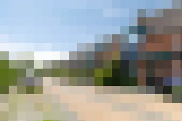Anjelier 11 Krimpen aan den IJssel thumbnail 31