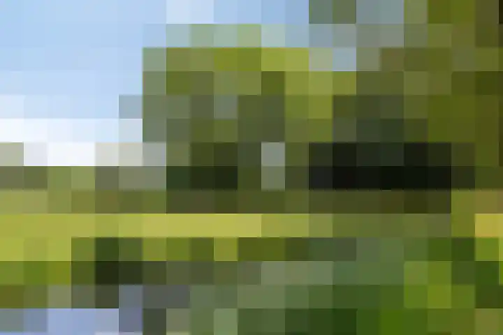 Anjelier 11 Krimpen aan den IJssel thumbnail 32